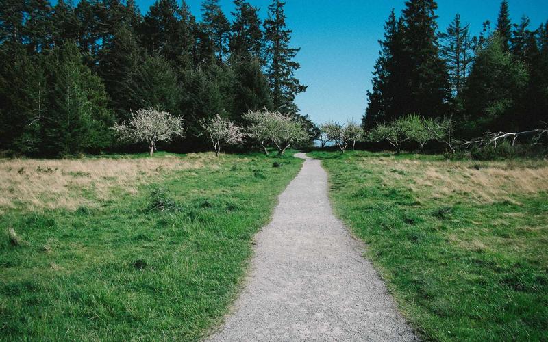 10 Cara Mendapatkan Passive Income untuk Karyawan