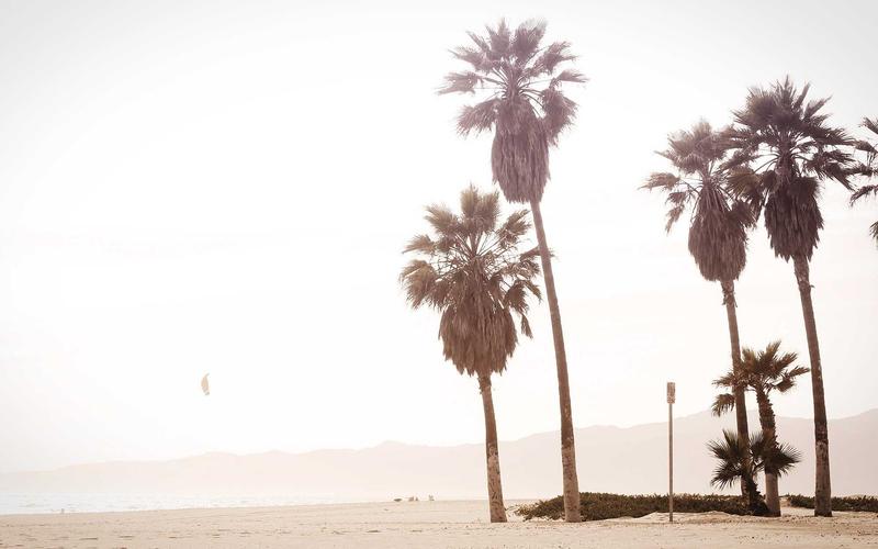 Cara Membuat Surat Lamaran Kerja yang Profesional dan Efektif