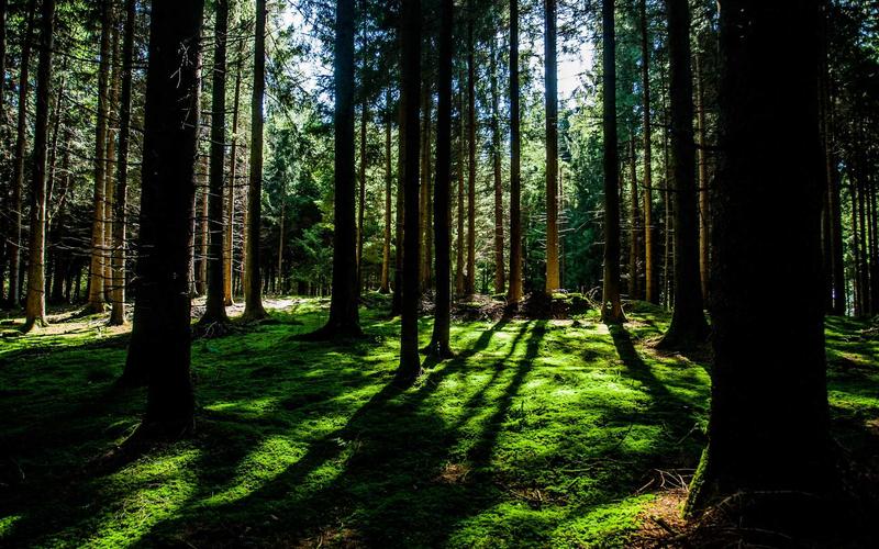 10 Pertanyaan Interview Kerja dan Cara Menjawabnya dengan Cerdas