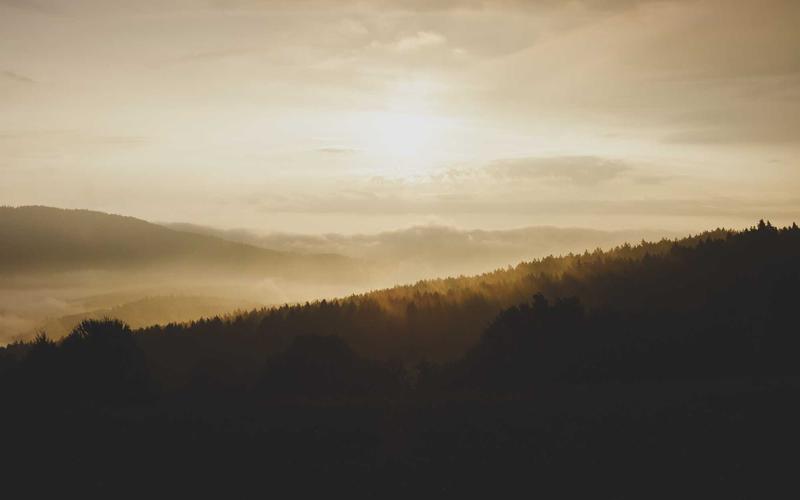 Lowongan Kerja di Sektor E-commerce yang Paling Dibutuhkan