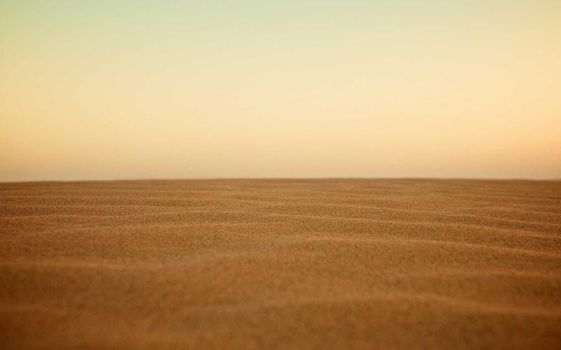 Tips Sukses Magang dan Berpeluang Jadi Karyawan Tetap