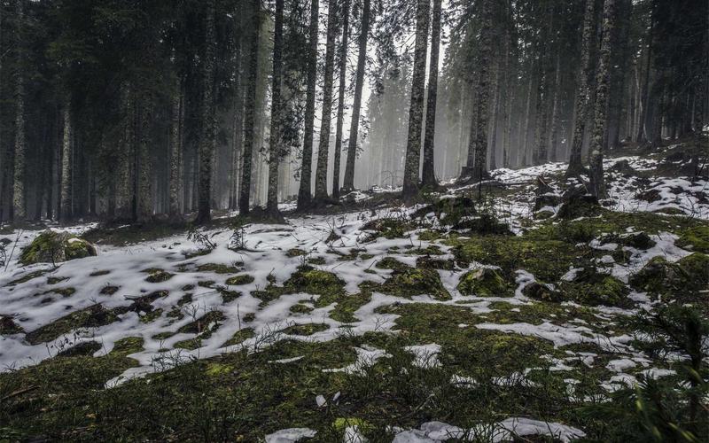 5 Cara Melindungi Aset dari Risiko dan Penipuan Investasi