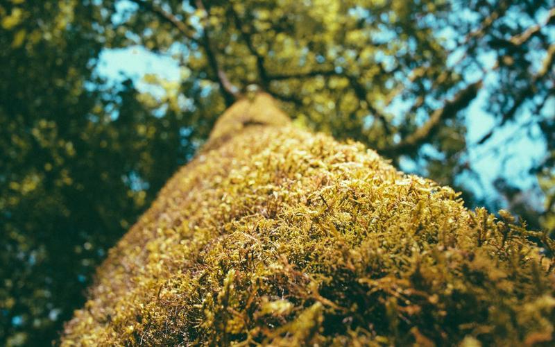 10 Tips Menulis CV yang Menarik Perhatian HRD di 2026