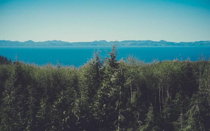 Cara Menabung untuk Dana Pendidikan Anak Sejak Dini