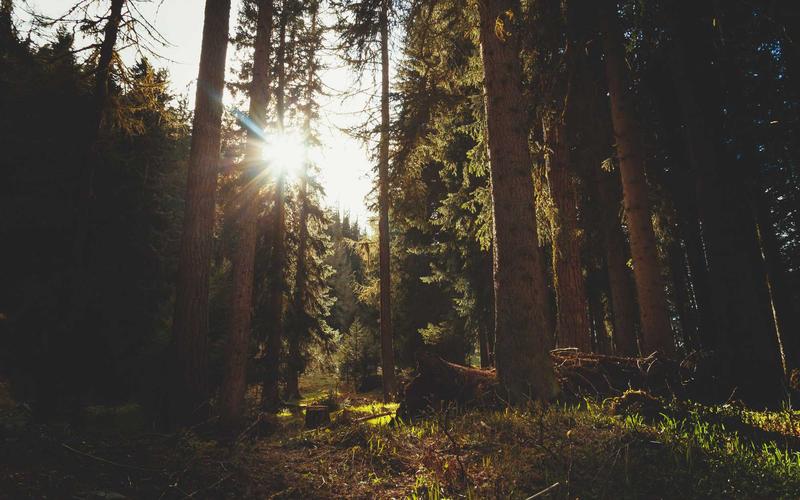 10 Sertifikasi IT yang Paling Dicari Perusahaan Teknologi