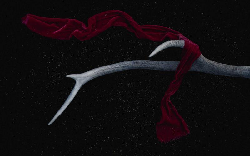 Karir di Bidang Logistik dan Supply Chain yang Sedang Booming