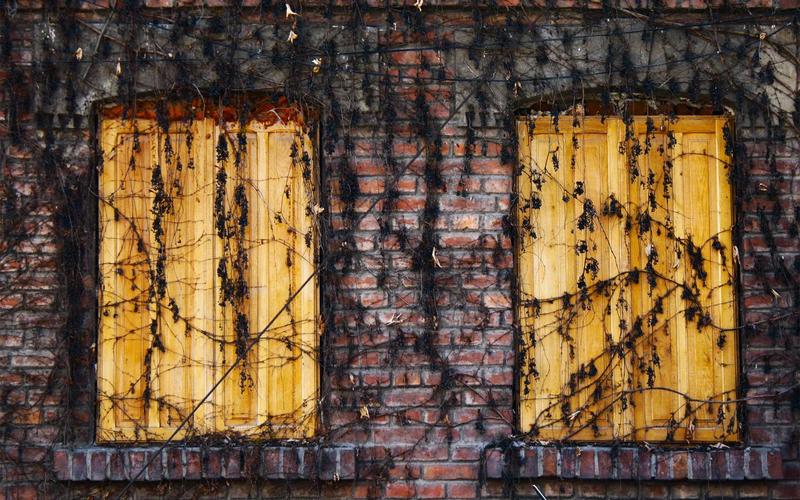 5 Strategi Networking di Event Profesional untuk Pemula